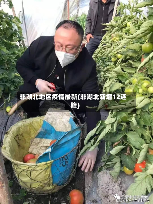 非湖北地区疫情最新(非湖北新增12连降)-第1张图片