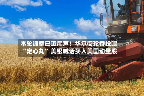 本轮调整已近尾声！华尔街轮番投喂“定心丸” 美银喊话买入美国动量股