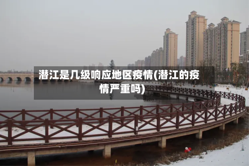 潜江是几级响应地区疫情(潜江的疫情严重吗)-第1张图片