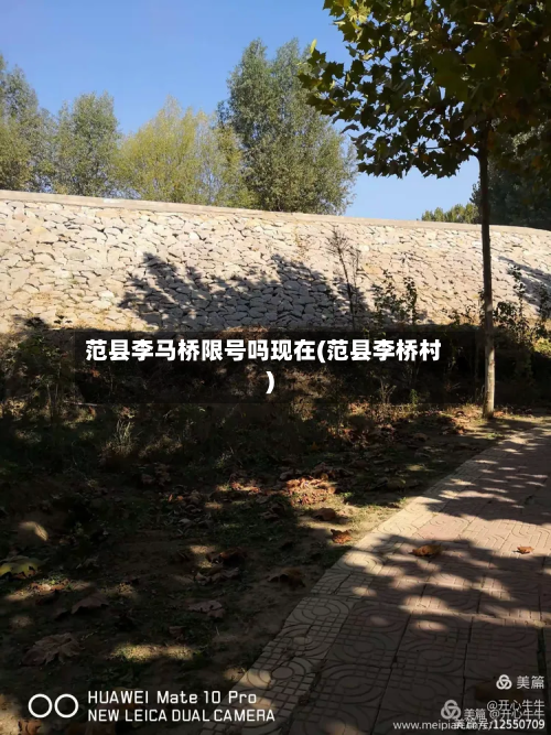 范县李马桥限号吗现在(范县李桥村)