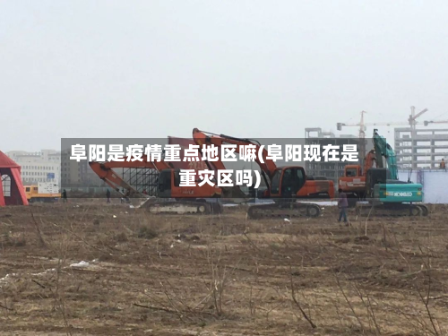 阜阳是疫情重点地区嘛(阜阳现在是重灾区吗)-第2张图片
