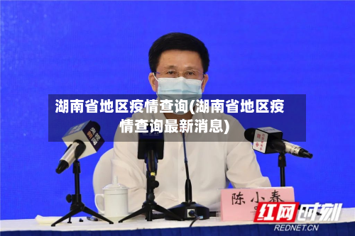 湖南省地区疫情查询(湖南省地区疫情查询最新消息)-第2张图片
