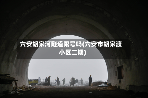 六安胡家河隧道限号吗(六安市胡家渡小区二期)