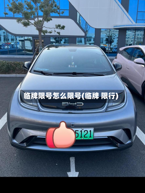 临牌限号怎么限号(临牌 限行)