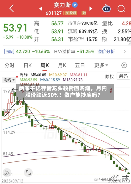 两家千亿存储龙头领衔回购潮，月内股价跌近50%！散户能抄底吗？-第2张图片