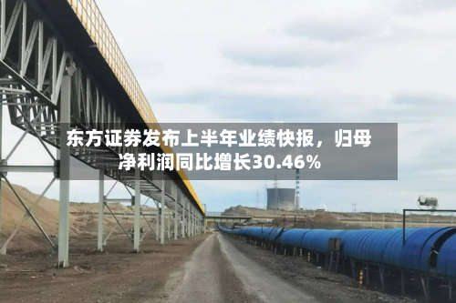 东方证券发布上半年业绩快报，归母净利润同比增长30.46%-第2张图片