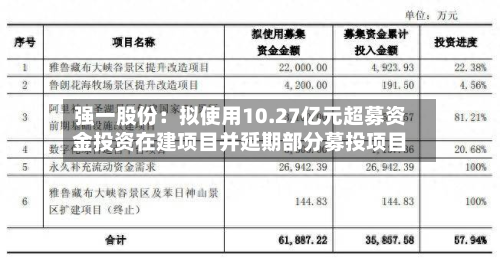 强一股份:拟使用10.27亿元超募资金投资在建项目并延期部分募投项目-第2张图片