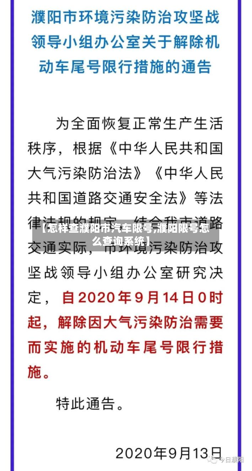 【怎样查濮阳市汽车限号,濮阳限号怎么查询系统】-第3张图片