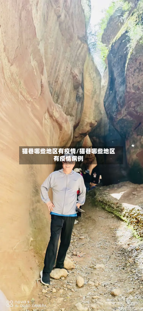 猫巷哪些地区有疫情/猫巷哪些地区有疫情病例-第1张图片