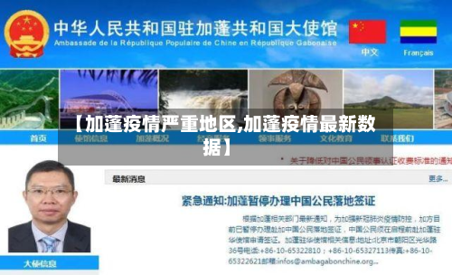 【加蓬疫情严重地区,加蓬疫情最新数据】-第2张图片