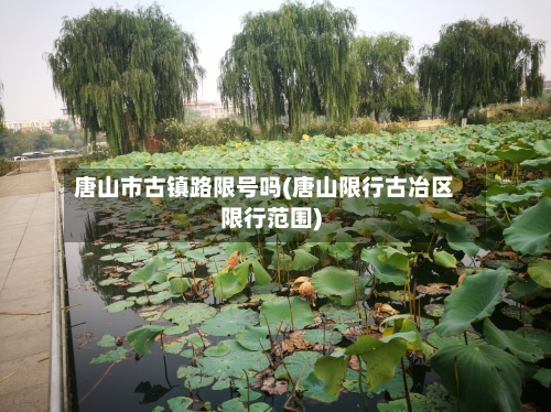 唐山市古镇路限号吗(唐山限行古冶区限行范围)-第1张图片