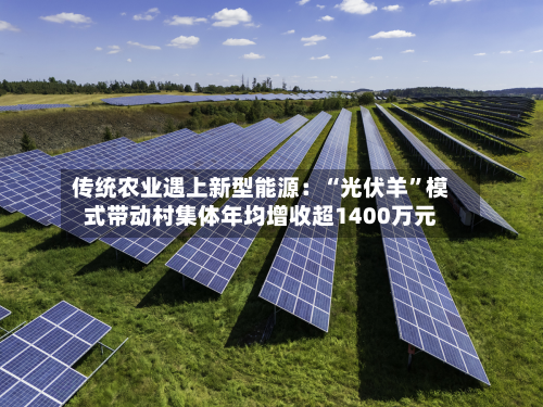 传统农业遇上新型能源：“光伏羊”模式带动村集体年均增收超1400万元-第2张图片