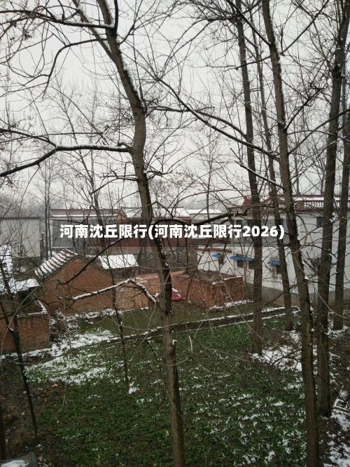 河南沈丘限行(河南沈丘限行2026)