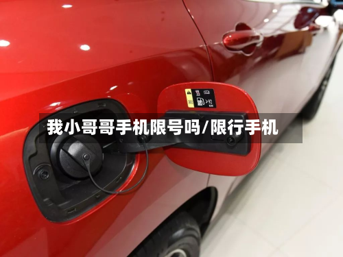 我小哥哥手机限号吗/限行手机-第3张图片