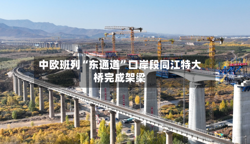 中欧班列“东通道”口岸段同江特大桥完成架梁-第2张图片