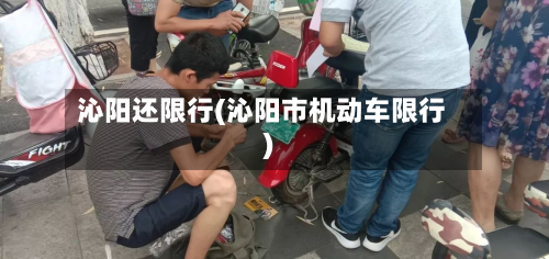 沁阳还限行(沁阳市机动车限行)-第1张图片