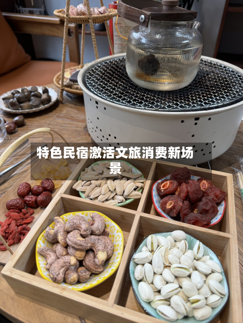 特色民宿激活文旅消费新场景-第1张图片