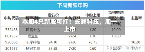 本周4只新股可打！长鑫科技	，周一上市-第2张图片
