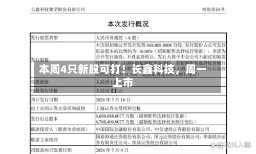 本周4只新股可打！长鑫科技，周一上市-第3张图片