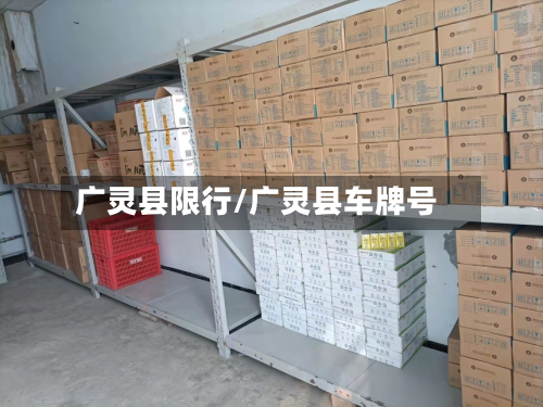 广灵县限行/广灵县车牌号-第2张图片