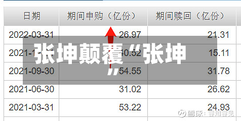 张坤颠覆“张坤	”-第2张图片