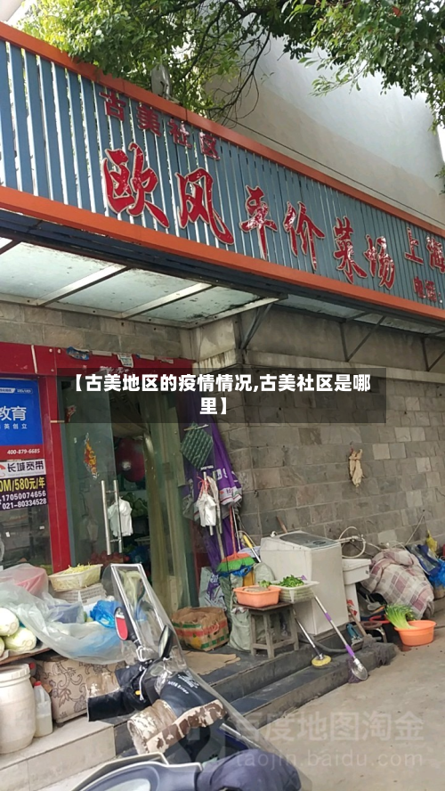 【古美地区的疫情情况,古美社区是哪里】-第1张图片