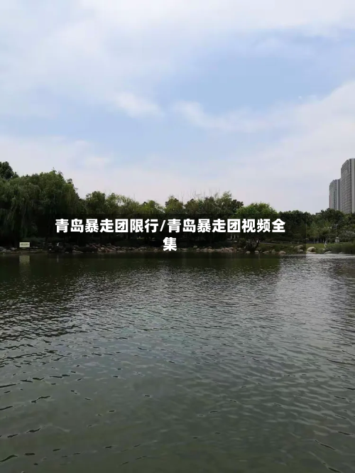 青岛暴走团限行/青岛暴走团视频全集-第2张图片