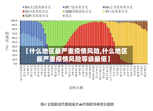 【什么地区最严重疫情风险,什么地区最严重疫情风险等级最低】