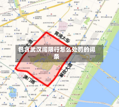 包含武汉闯限行怎么处罚的词条-第2张图片