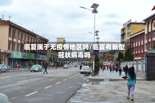 临夏属于无疫情地区吗/临夏有新型冠状病毒吗-第1张图片
