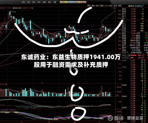 东诚药业：东益生物质押1941.00万股用于融资需求及补充质押-第2张图片