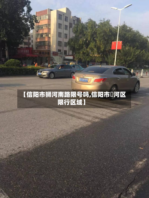 【信阳市狮河南路限号吗,信阳市浉河区限行区域】-第2张图片