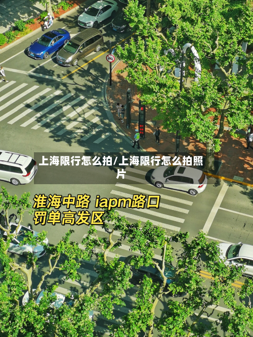 上海限行怎么拍/上海限行怎么拍照片-第3张图片