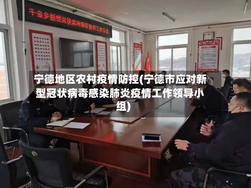 宁德地区农村疫情防控(宁德市应对新型冠状病毒感染肺炎疫情工作领导小组)-第1张图片