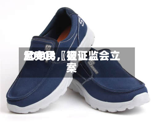 30008〖壹〗、孟宪民，被证监会立案