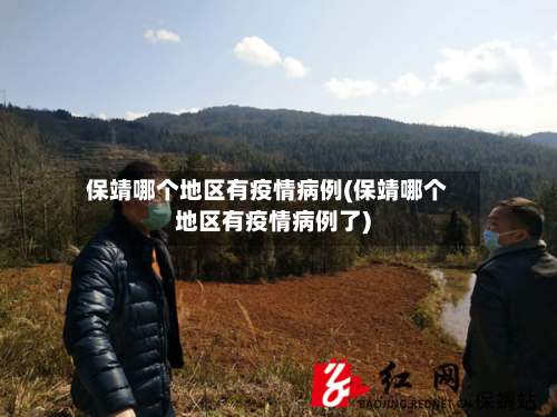 保靖哪个地区有疫情病例(保靖哪个地区有疫情病例了)-第2张图片