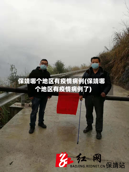 保靖哪个地区有疫情病例(保靖哪个地区有疫情病例了)-第3张图片