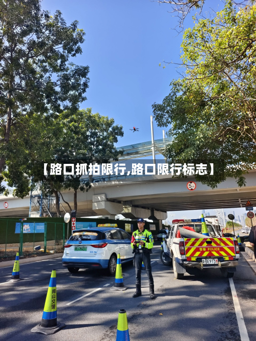 【路口抓拍限行,路口限行标志】-第2张图片