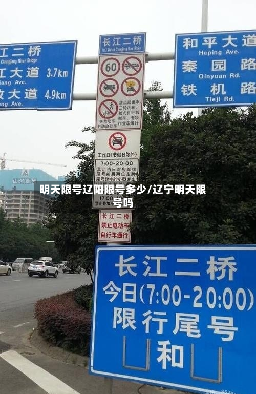 明天限号辽阳限号多少/辽宁明天限号吗-第1张图片