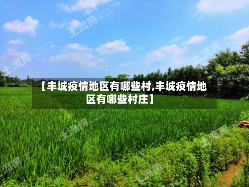 【丰城疫情地区有哪些村,丰城疫情地区有哪些村庄】-第3张图片