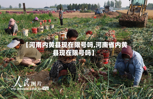 【河南内黄县现在限号吗,河南省内黄县现在限号吗】-第3张图片