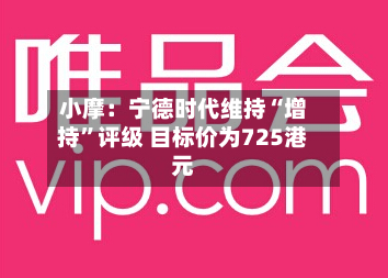 小摩：宁德时代维持“增持”评级 目标价为725港元-第3张图片