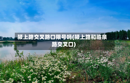 颍上路交叉路口限号吗(颍上路和临泉路交叉口)