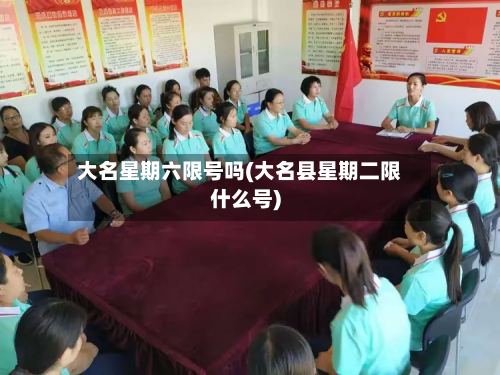 大名星期六限号吗(大名县星期二限什么号)