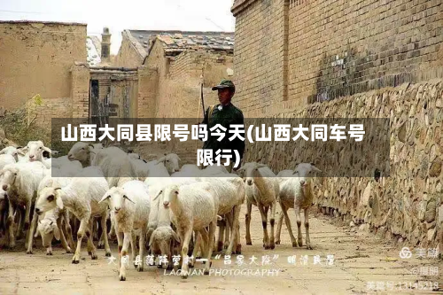 山西大同县限号吗今天(山西大同车号限行)