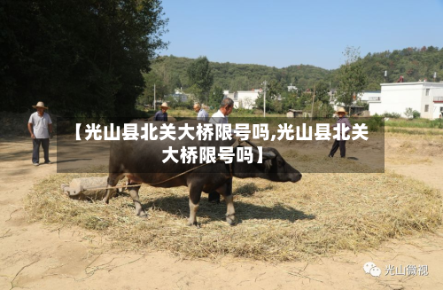 【光山县北关大桥限号吗,光山县北关大桥限号吗】-第2张图片