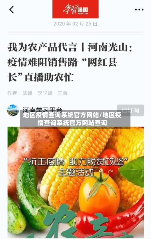 地区疫情查询系统官方网站/地区疫情查询系统官方网站查询