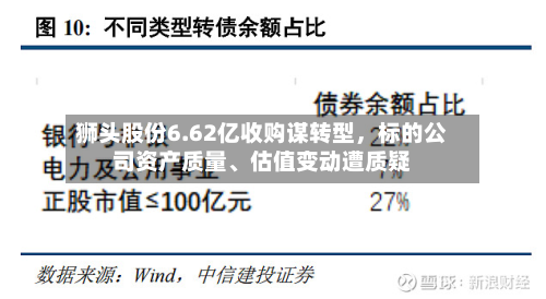 狮头股份6.62亿收购谋转型，标的公司资产质量、估值变动遭质疑-第3张图片