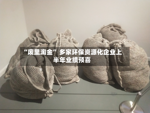 “废里淘金” 多家环保资源化企业上半年业绩预喜-第2张图片