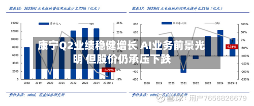 康宁Q2业绩稳健增长 AI业务前景光明 但股价仍承压下跌-第1张图片